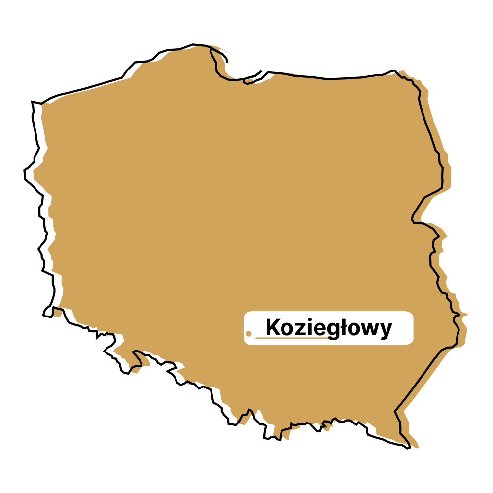 Auta Zastępcze Koziegłowy
